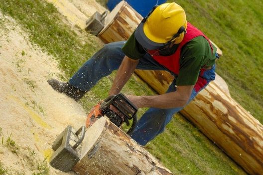 A crew member uses a chainsaw to expertly cut a log to a specific size.