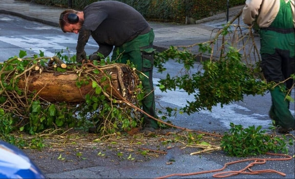 The crew clears a tree that has fallen and blocked the street during a storm.