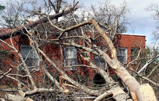 A tree has fallen on a building after a storm. 